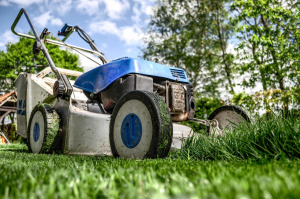 Yard work handyman Springfield OR – leaf removal Lane County